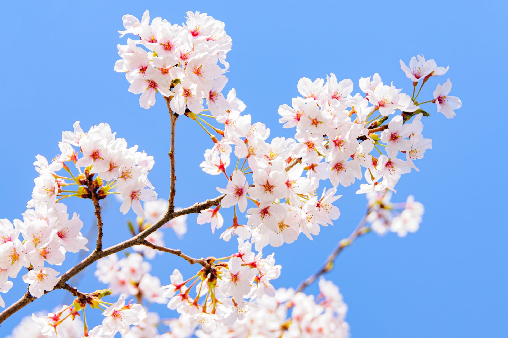 2026年度 春学期 活動予定